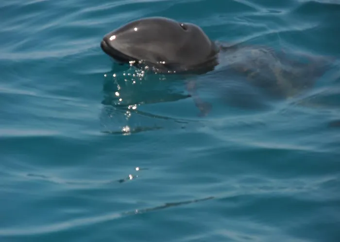 Πανσιόν Europa Kiten (Burgas)